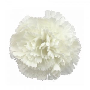 fleur oeillet 12 cm ecru