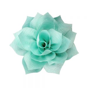 fleur stella vert eau