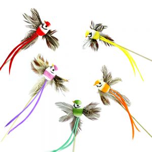 oiseau plume (2)