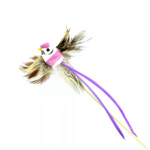 oiseau plume violet