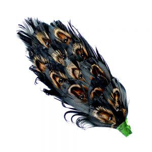 ornement plumes faisan strass noir