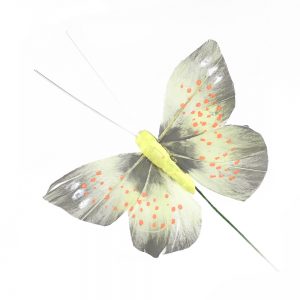 papillon colias jaune