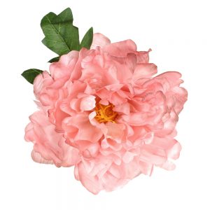 pivoine noemi 14 cm rose