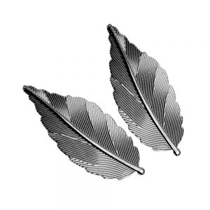plumes laiton 06x2,5 cm (2 unites) argent