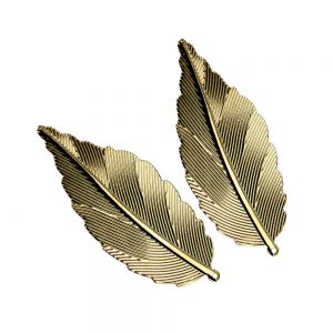 plumes laiton 06x2,5 cm (2 unites) or