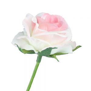 rose 05cm rose et vert