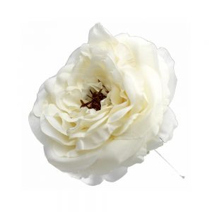 rose evelyn 14cm ecru