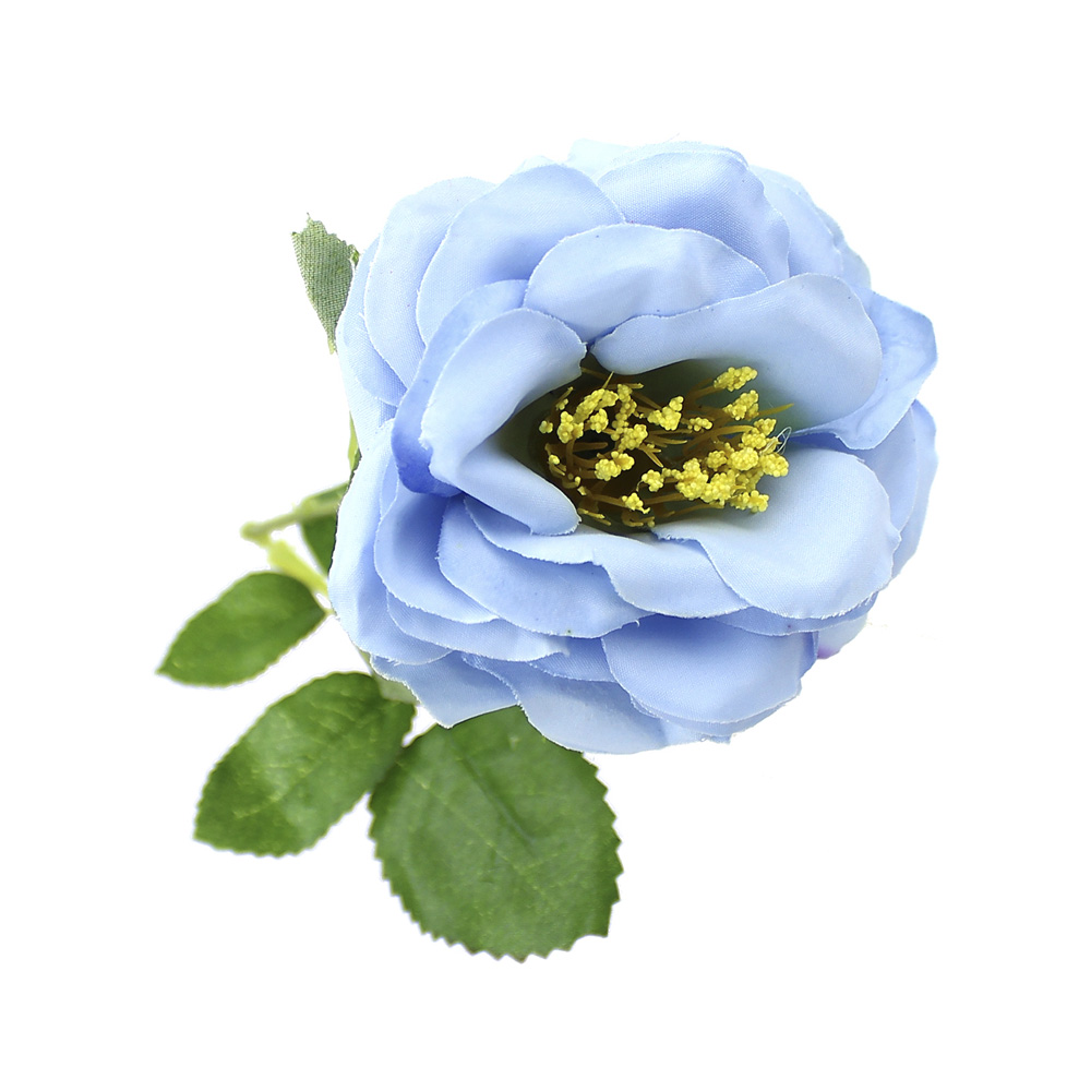 rose nancy 08cm bleu ciel rose nancy 08cm bleu ciel