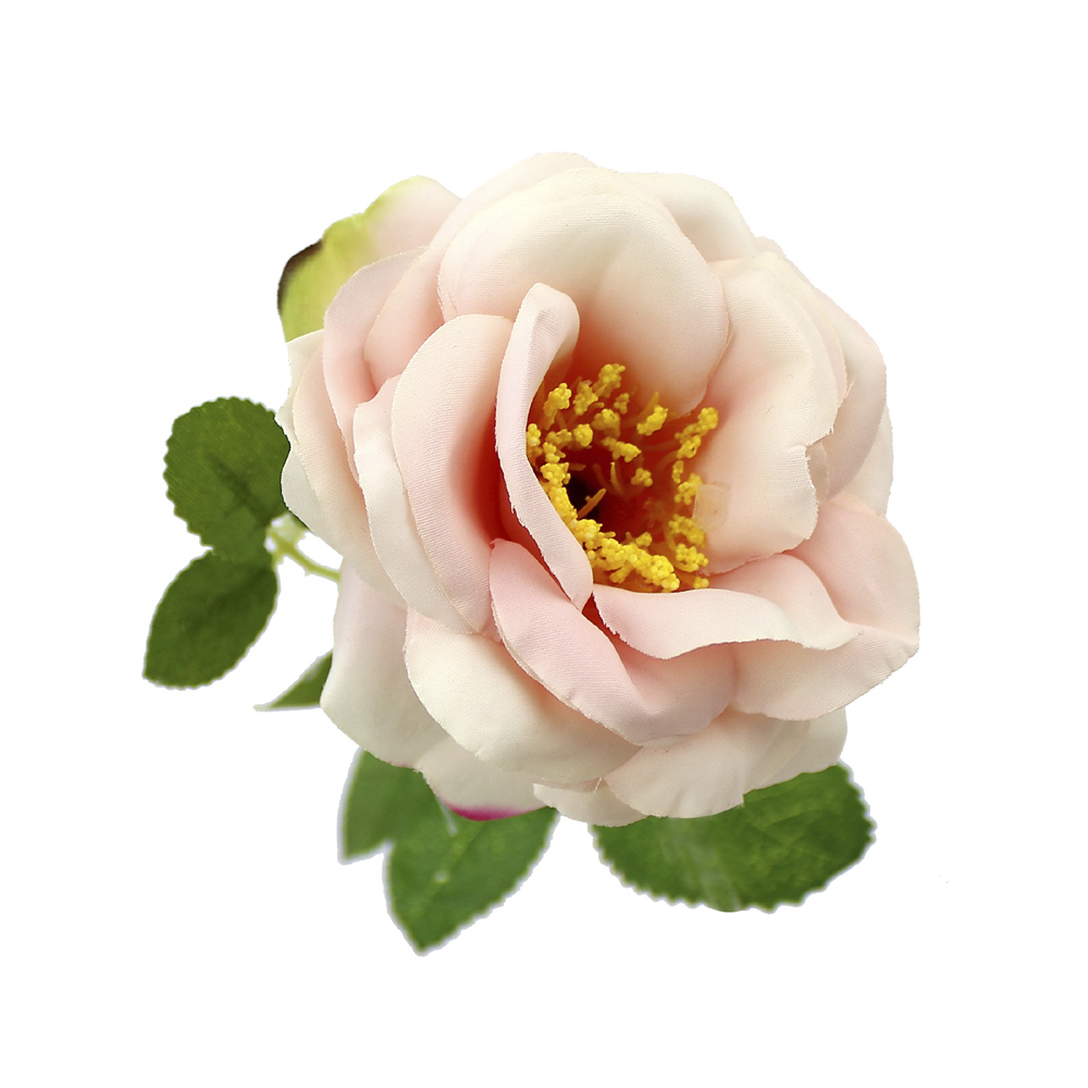 rose nancy 08cm saumon rose nancy 08cm saumon