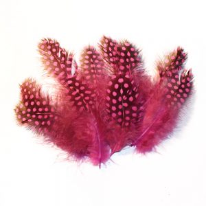 sachet plumes pintade 10 cm bougainvillea