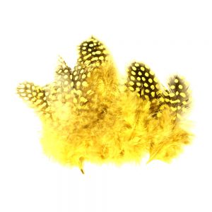 sachet plumes pintade 10 cm jaune