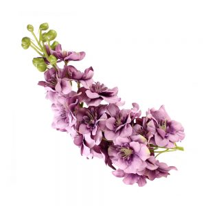 tige deuphinelles zaira mauve