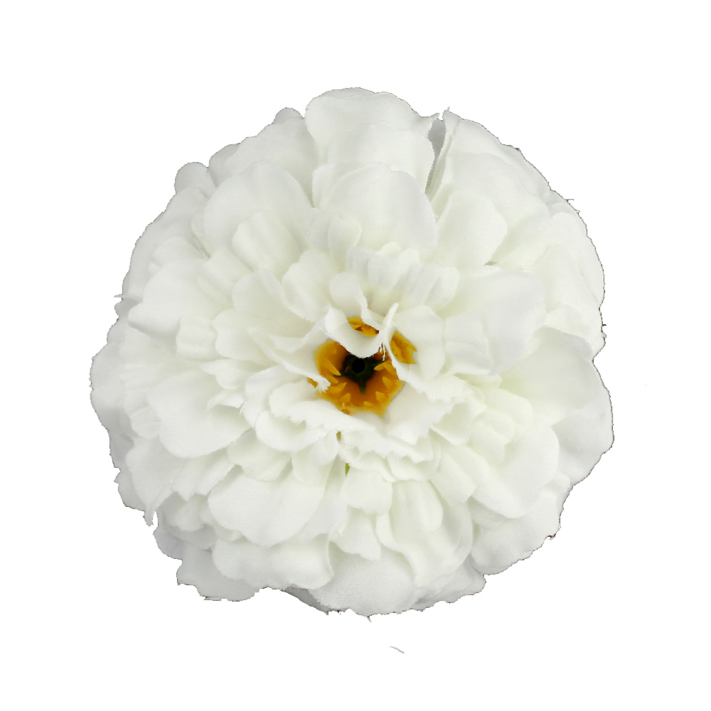 zinnia 07cm blanc zinnia 07cm blanc