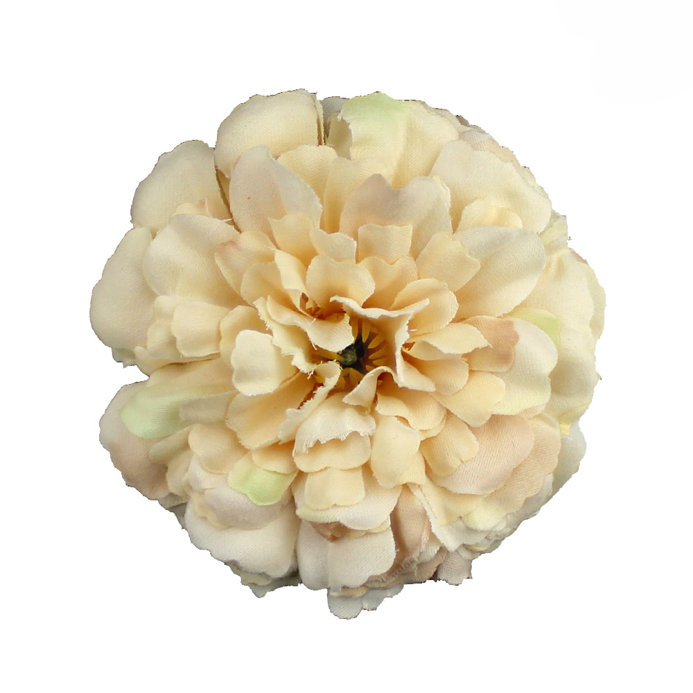 zinnia 07cm ecru zinnia 07cm ecru