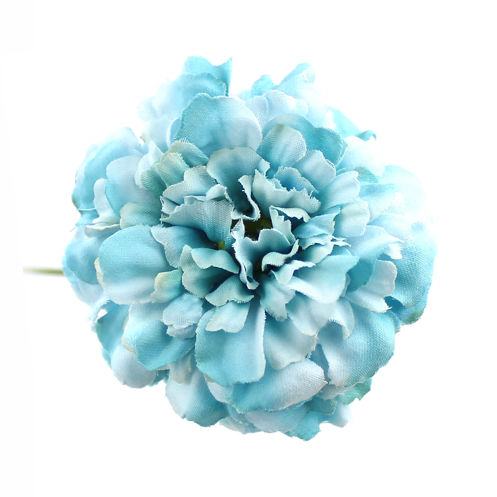 zinnia 07cm turquoise zinnia 07cm turquoise
