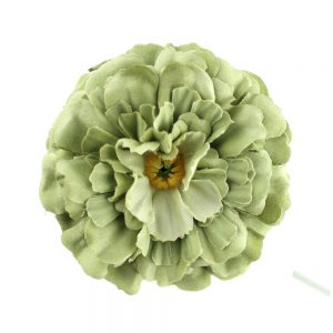 zinnia 07cm vert poudre 2