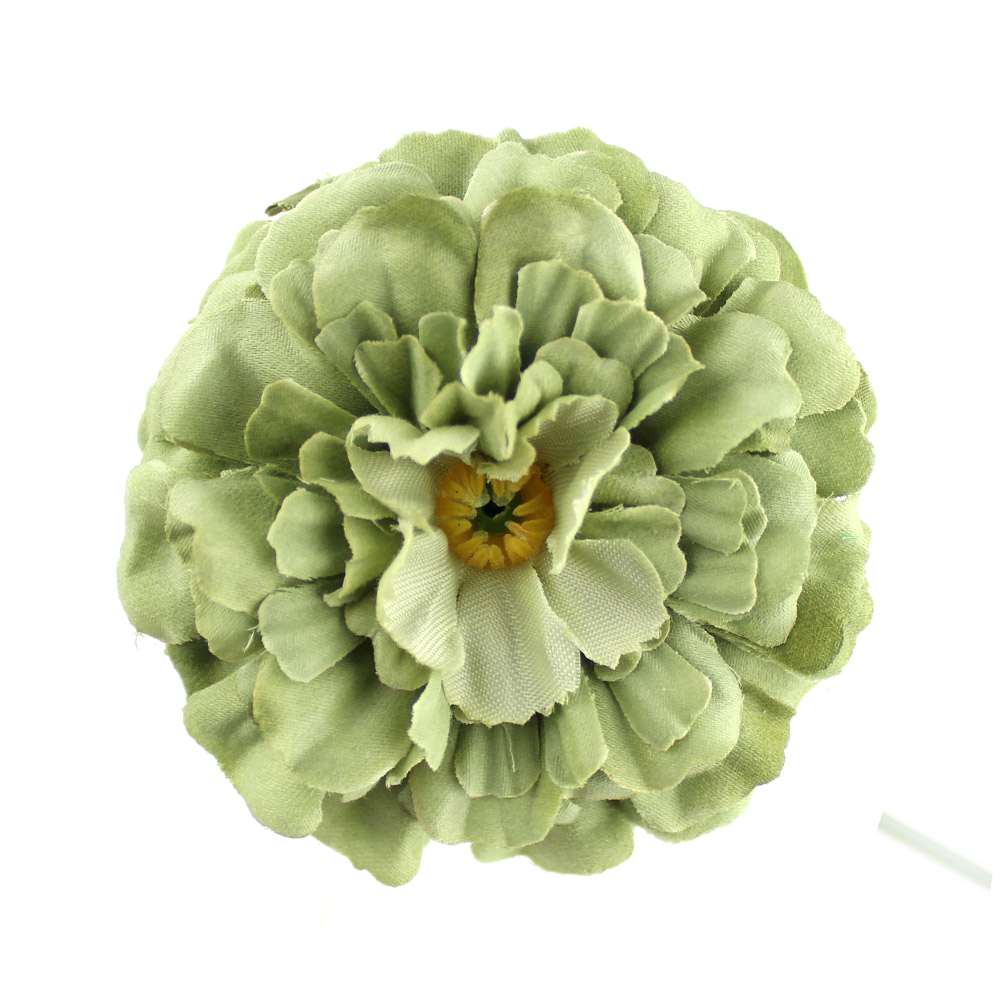 zinnia 07cm vert poudre 2 zinnia 07cm vert poudre 2