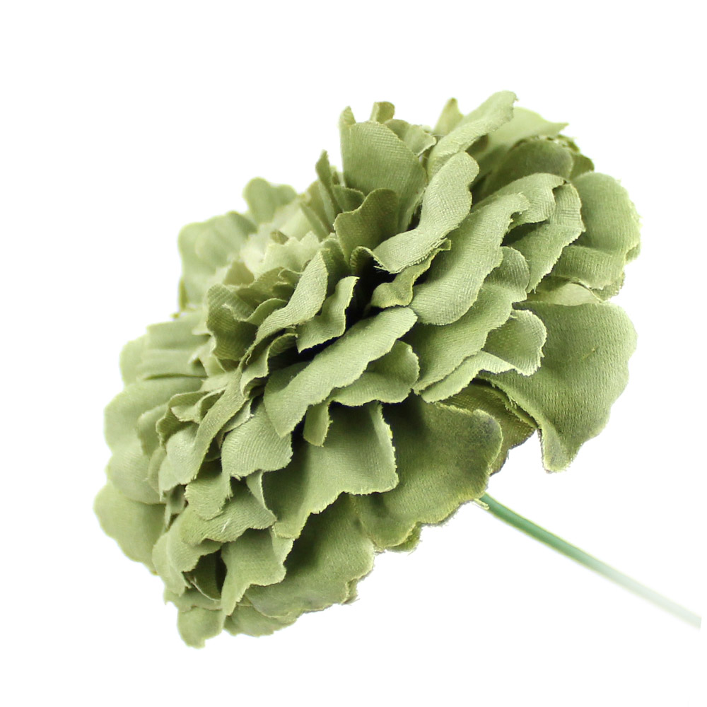 zinnia 07cm vert poudre zinnia 07cm vert poudre