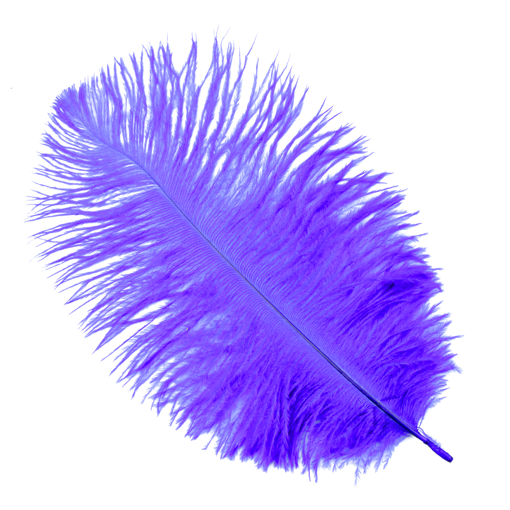 Plumas avestruz 15 20 cm añil Plumas avestruz 15 20 cm añil