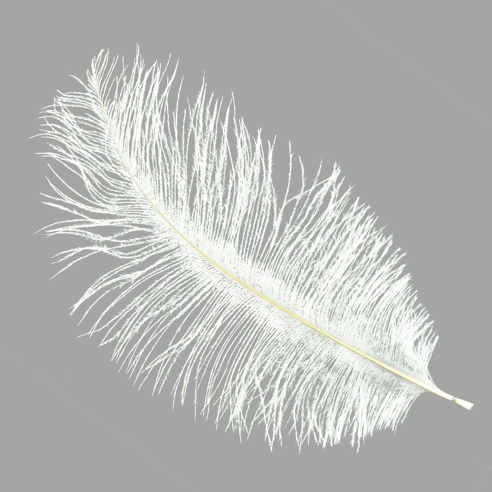 Plumas avestruz 15 20 cm blanco Plumas avestruz 15 20 cm blanco