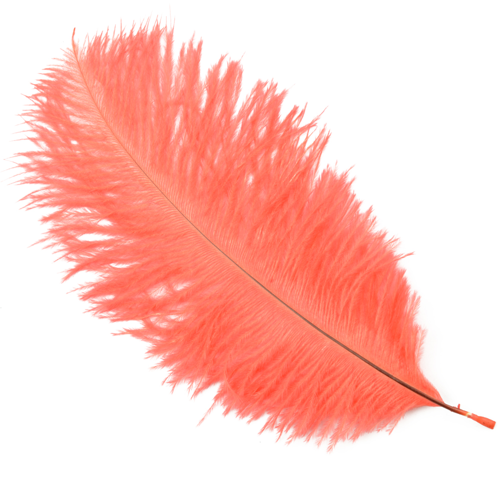 Plumas avestruz 15 20 cm coral Plumas avestruz 15 20 cm coral