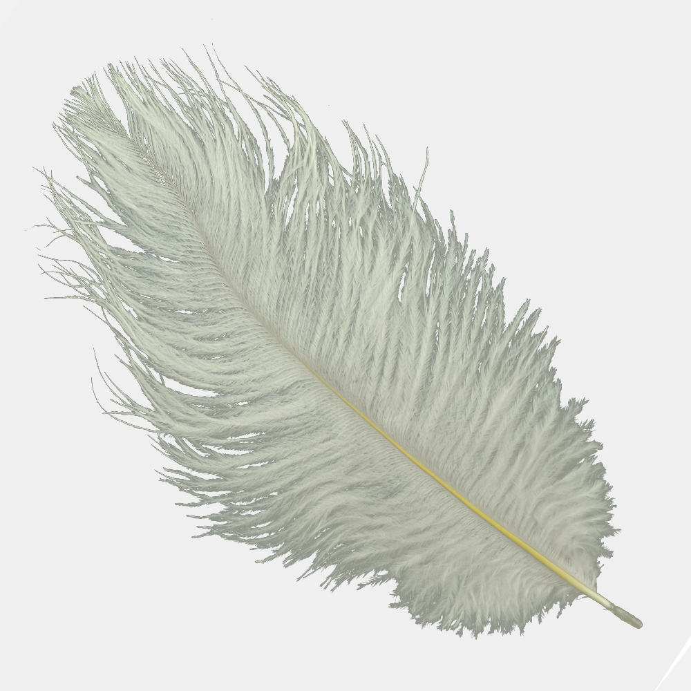 Plumas avestruz 15 20 cm crudo Plumas avestruz 15 20 cm crudo