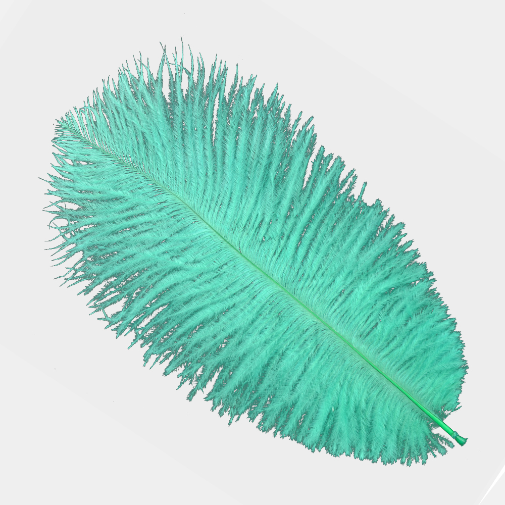 Plumas avestruz 15 20 cm jade Plumas avestruz 15 20 cm jade