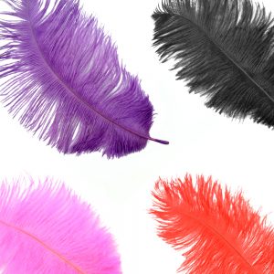 Plumas avestruz 15 20 cm montaje