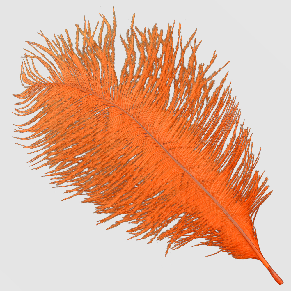 Plumas avestruz 15 20 cm naranja Plumas avestruz 15 20 cm naranja