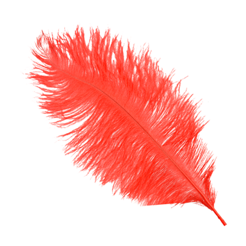 Plumas avestruz 15 20 cm rojo Plumas avestruz 15 20 cm rojo