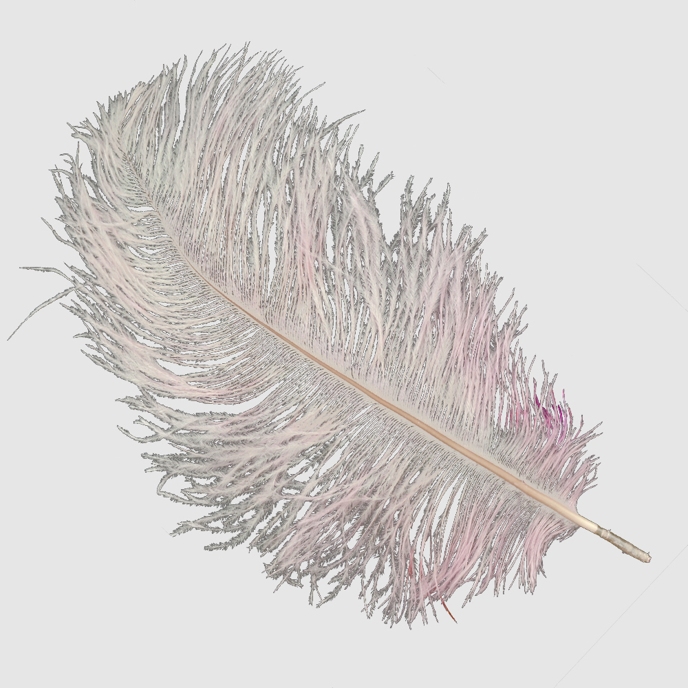 Plumas avestruz 15 20 cm rosa Plumas avestruz 15 20 cm rosa