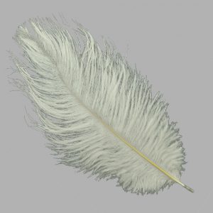 Plumas avestruz 15 20 cm verde claro
