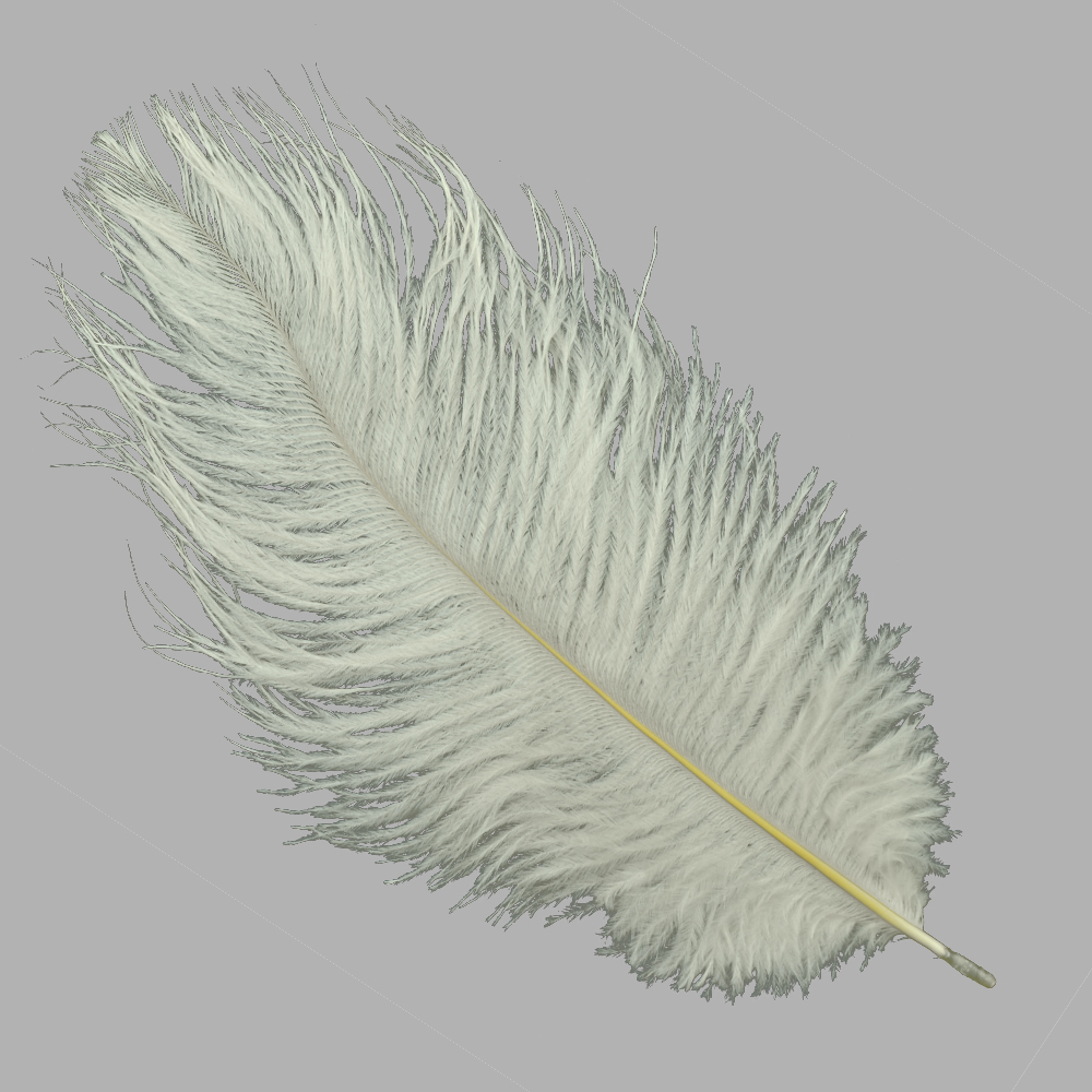 Plumas avestruz 15 20 cm verde claro Plumas avestruz 15 20 cm verde claro