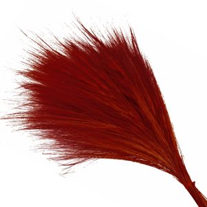 barba fina preservee rouge