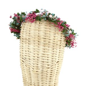 couronne amberes 2