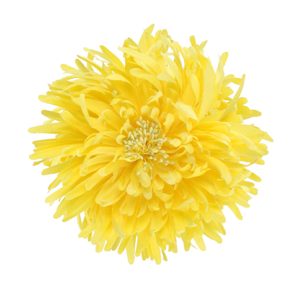 fleur ivanna jaune fleur ivanna jaune