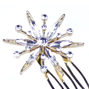 Peigne étoile polaire II