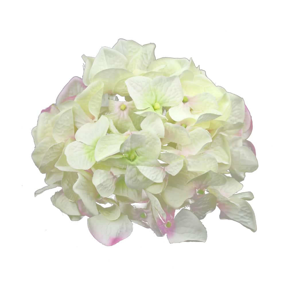 HORTENSIA-TRACY-ecru et rose