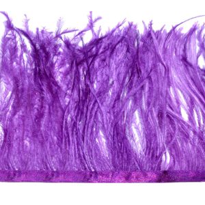 GALON AUTRUCHE violet