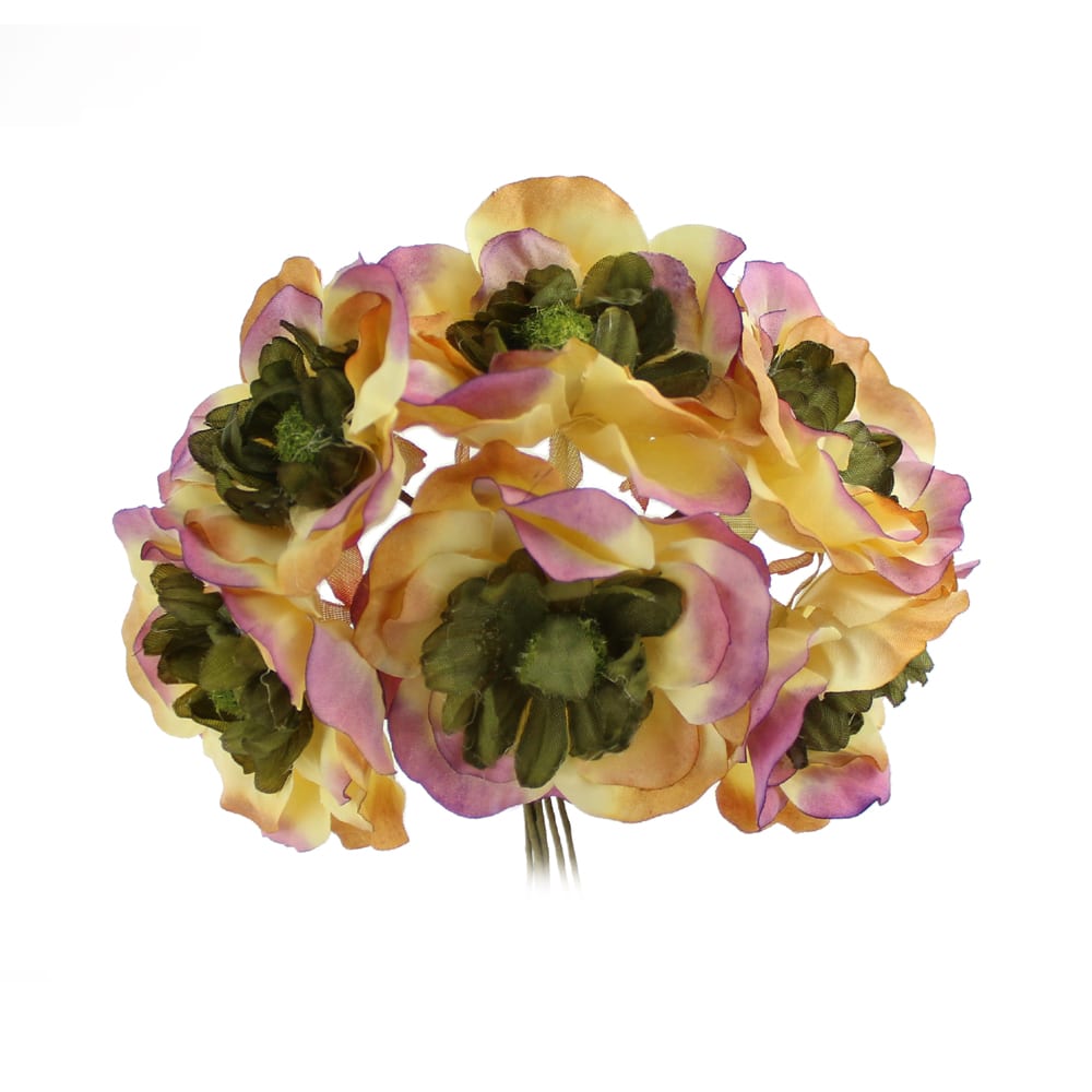 bouquet dana multicolore bouquet dana multicolore