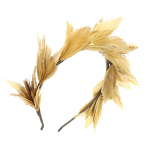 tiara plumes susan tabac