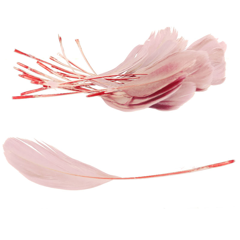 Bolsa-plumas-antena-15cm-rn bolsa pluma antena rosa nude